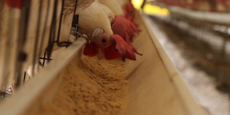 Con la productividad, también han mejorado los ingresos de los trabajadores