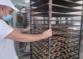 alimentaria-artemisa