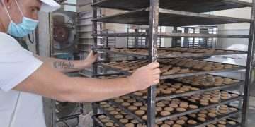 alimentaria-artemisa