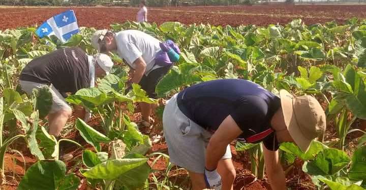 Llega desde Europa solidaridad y amor para la tierra de Villena