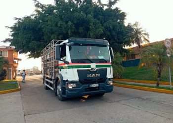 Empresa de Gas Licuado informa sobre inicio de operaciones comerciales en Artemisa