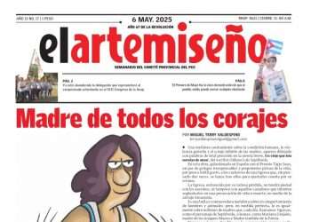 Edición 17 de el artemiseño