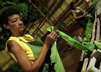 campana-tabacalera-artemisa-13