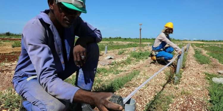 Las soluciones de cimentación fueron implementadas en conjunto con diferentes proyectistas de empresas involucradas