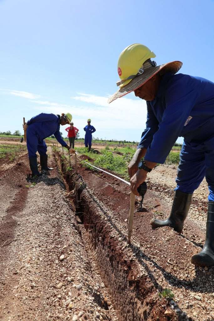 Se estima que la construcción de la obra
concluya en septiembre del presente año