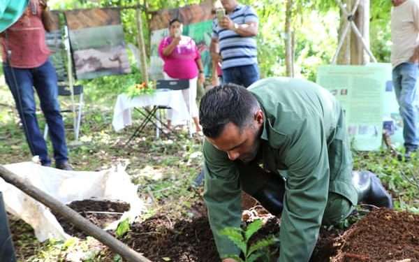 Campaña cafetalera trae buenas nuevas para Angerona