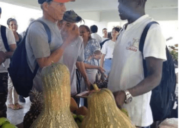 El espacio sirvió para el intercambio de experiencias entre campesinos