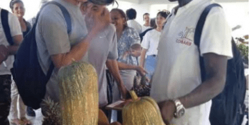 El espacio sirvió para el intercambio de experiencias entre campesinos