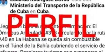 Rodríguez Dávila instó a los usuarios a denunciar inmediatamente estos perfiles mediante la función de reporte de la plataforma (opción disponible en los tres puntos del perfil)