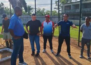 Artemisa tiene potencial para triunfar en el béisbol