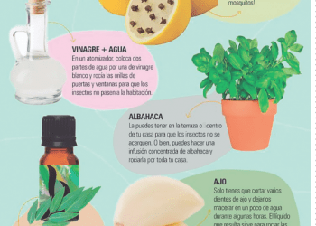 A lo natural: repelentes naturales contra los mosquitos