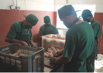 Poco a poco han crecido sus producciones