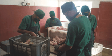 Poco a poco han crecido sus producciones