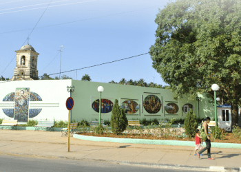 Caimito en los dones generosos de Cuba