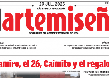 Edición 29 de el artemiseño