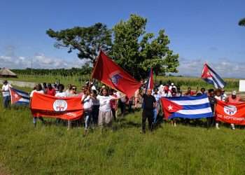 Grito de vida desde una bandera