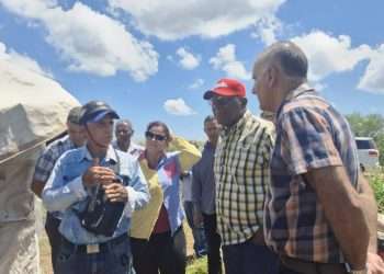 Chequea vicepresidente cubano acciones para llevar más arroz a la mesa