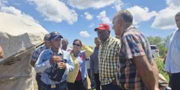 Chequea vicepresidente cubano acciones para llevar más arroz a la mesa