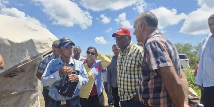 Chequea vicepresidente cubano acciones para llevar más arroz a la mesa