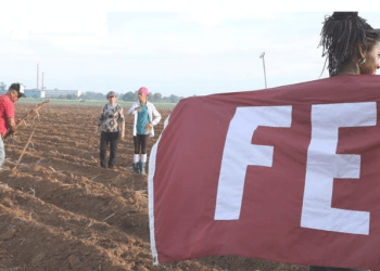 Verano de disfrute y aportes