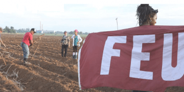 Verano de disfrute y aportes