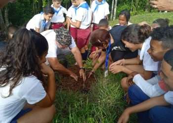 educación-ambiental