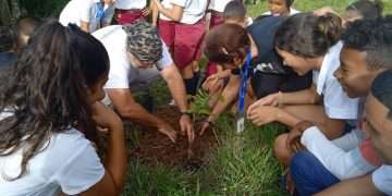 educación-ambiental
