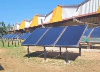 Campaña-tabacalera-innovaciones