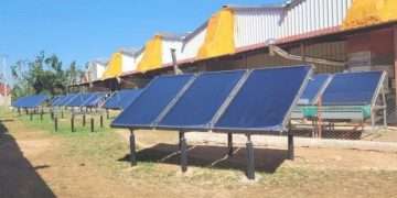 Campaña-tabacalera-innovaciones