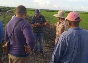 instituto-granos-ciencia