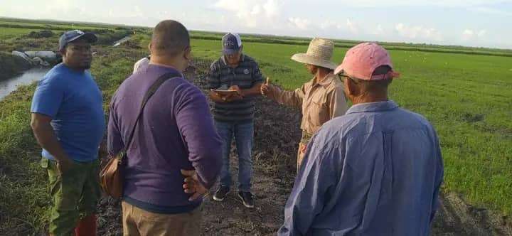 instituto-granos-ciencia