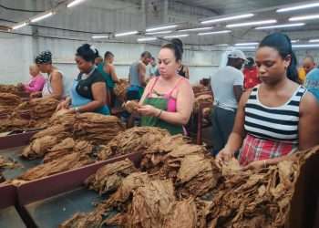 Vanguardia por derecho propio