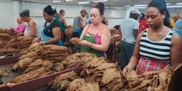 Vanguardia por derecho propio