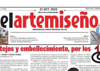 Edición 41 de el artemiseño