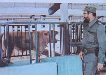 Fidel-visita-los-naranjos