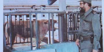 Fidel-visita-los-naranjos