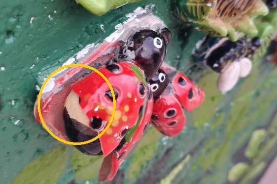 mural-barro-sin-berro