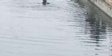 encuentran-cuerpo-ahogado