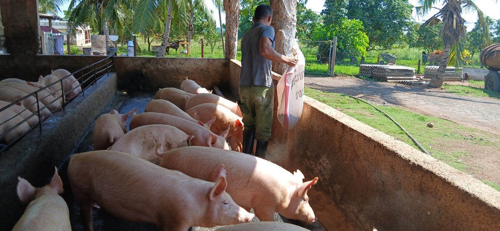 finca-los-sementales (1)