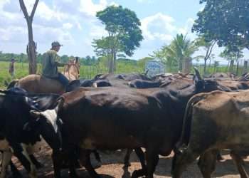 finca-los-sementales (3)