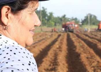 Gladys-Martínez-Verdecia