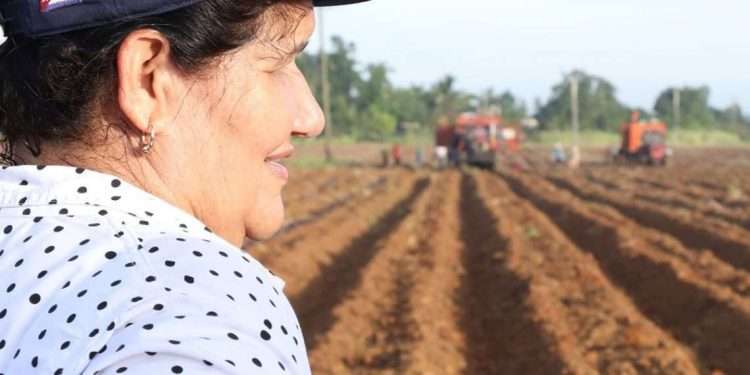 Gladys-Martínez-Verdecia