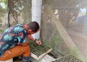 hidroponico-san-cristobal