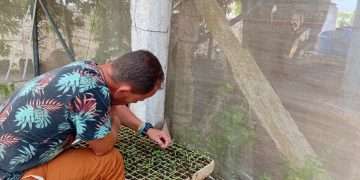 hidroponico-san-cristobal