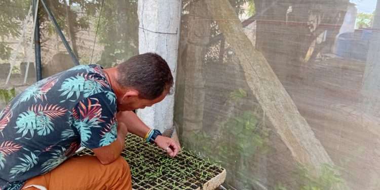 hidroponico-san-cristobal