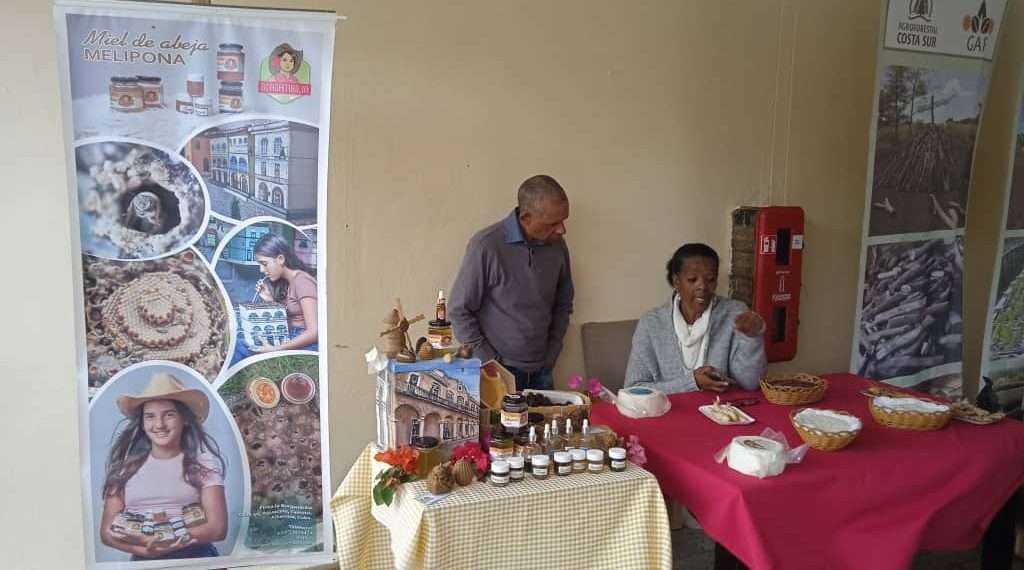 exportacion-artemisa