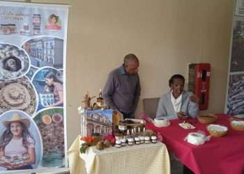 exportacion-artemisa