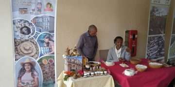 exportacion-artemisa