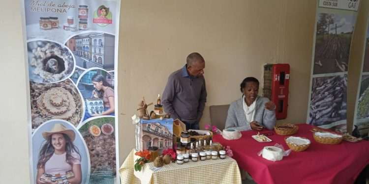 exportacion-artemisa