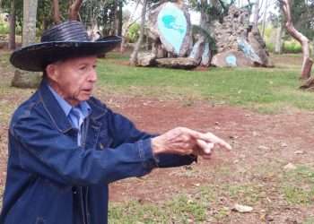 rafael-rodriguez-ortiz